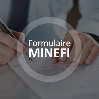 minefi