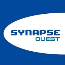 synapseweb